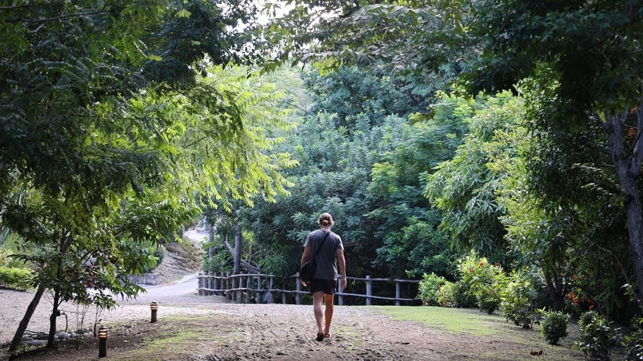 Ayahuasca retreat costa rica soltara