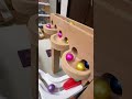 Marble Run 259 マーブルラン Colorful Marbles #ビー玉転がし #marblerace #マーブルラン #marblerun #asmr #haba #小さな大工さん