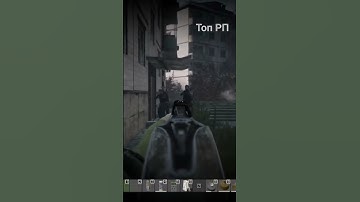 Топ РП #dayz #дейз #stalker #сталкер #rp #dayzrp #funny #stream #shorts #stalkerrp #shots #gaming