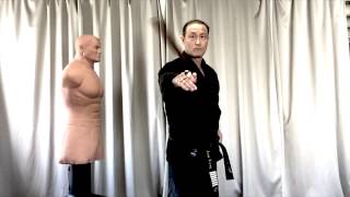 Dan Bong 2 - Hapkido Short Stick & Blade Dan Bong 2 - Hapkido Short Stick & Blade