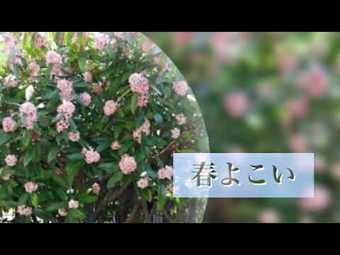 春よ来い／松任谷由実／カラオケ歌ってみた