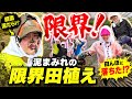 【放送事故】田んぼに消えた垣内D納言…顔面泥だらけで青森のおばあちゃん大爆笑wwガチプロ化したねぶたるみにご注目【ねぶたるみ3回目の田植え】