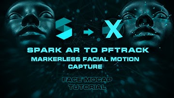 Markerless Facial Motion Capture