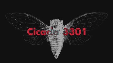 LEMMiNO - Cipher (BGM) (EXTENDED 1 HOUR [SEAMLESS])