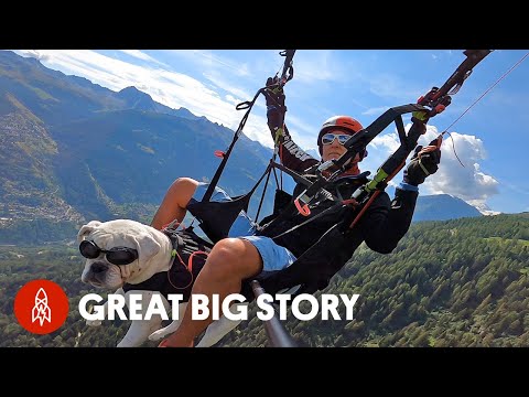 When You Live in the Swiss Alps, You Can Paraglide to Work