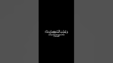 سورة الأحزاب ##القرآن_الكريم #quran #ماهر_المعيقلي #تلاوات #تلاوة #الدعاء #اسلام #اسلام #ايات #reels