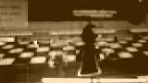 Back in the days in Wizard101 Wolf DuskDust remake