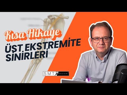 Üst ekstremitenin sinirlerinin kısa hikayesi