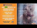 Pet Talk: Momo