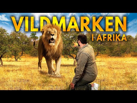 Video: Det största naturreservatet i Afrika. 10 bästa nationalparker och reservat i Afrika