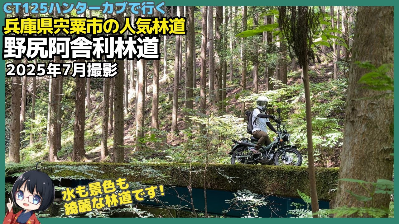 二十五ヶ所霊場巡拝 伊豆八十八ヶ所霊場巡り-10（第三十二番～三十六番） - 牛歩的
