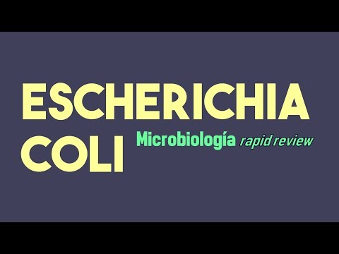 Video: ¿Escherichia coli puede fermentar la lactosa?