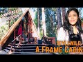 Exotic A Frame Cabin in Idyllwild California Anniversary Vacation Vlog