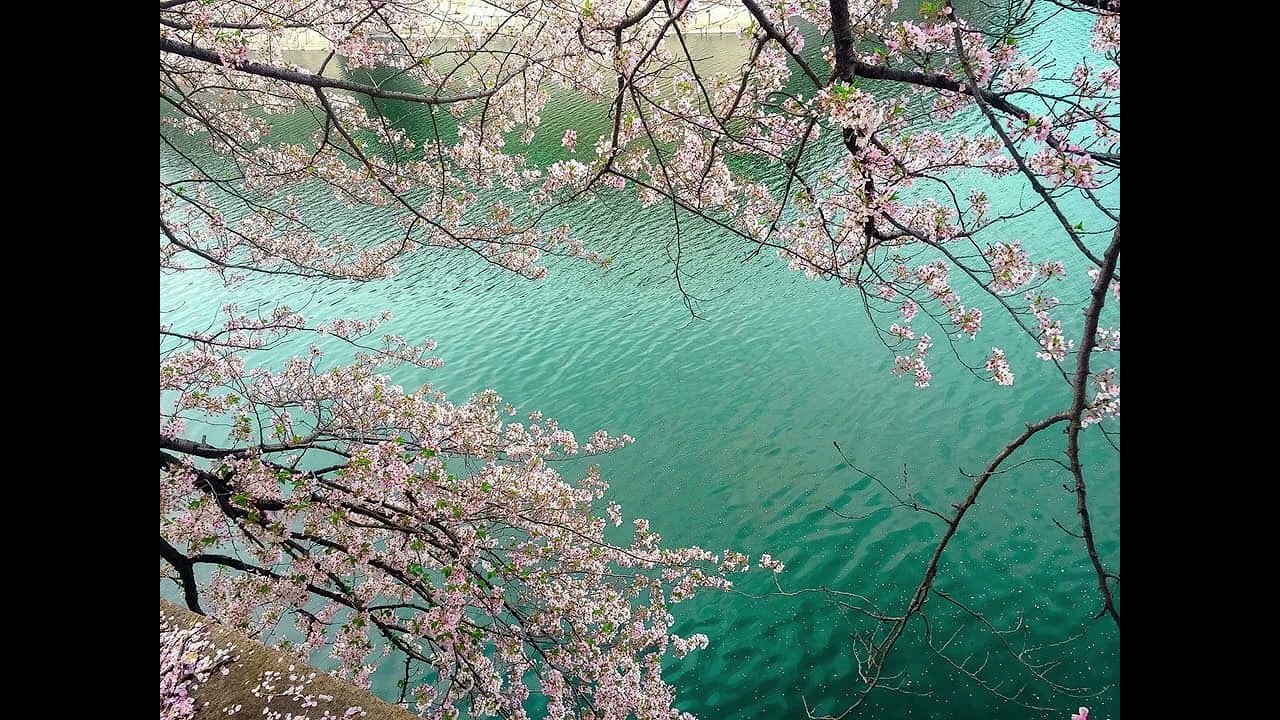 [FREE] Summrs + Pluggnb Type Beat - 