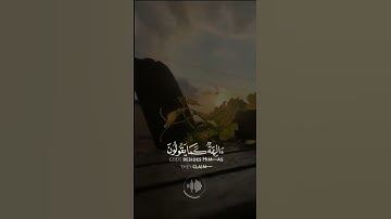 القارئ يوسف العيدروس ❤️🌿