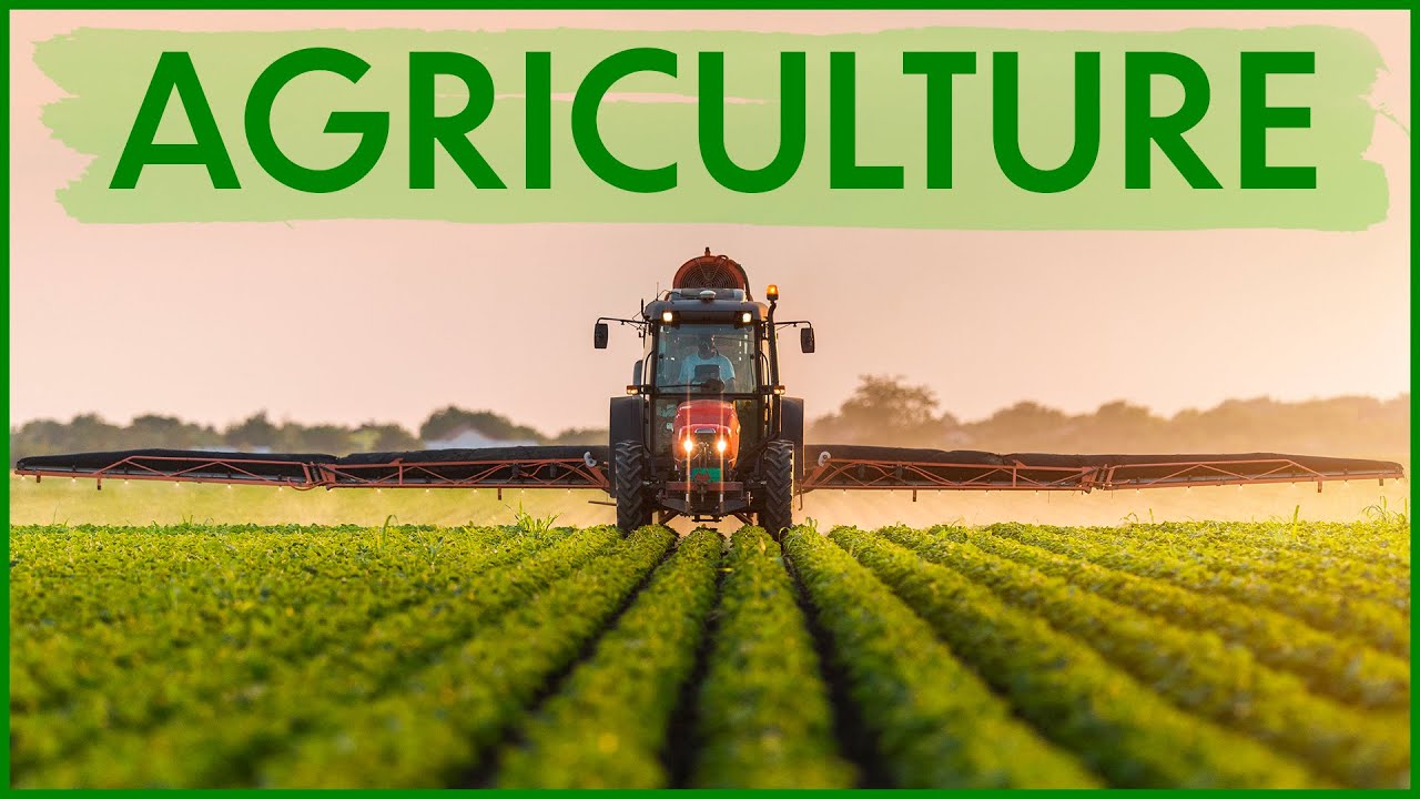 Comment nourrir 8 milliards d'humains (de manière durable) ?