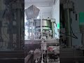Dual Lane Nicotine Pouch Packing Machine | 2x Output, High Speed Snus Packaging #automatedsolutions