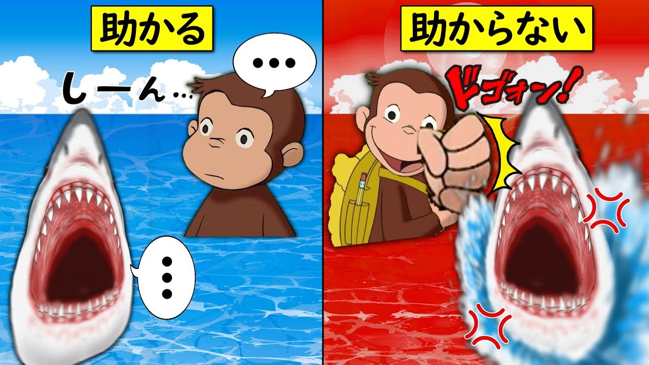 【おさじょマニア】サメに遭遇したときの対処法【猫ミーム】【猫マニ】