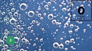 Your Body Needs This Much Oxygen  Heres Why