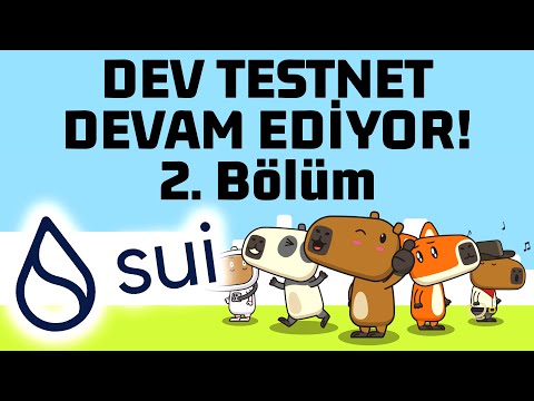 Sui Network Testnet Devam Ediyor | SUI Coin Airdrop Kazanma İhtimalini Değerlendiriyoruz!