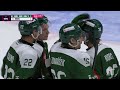 David Tomášek | Hattrick 2024/25