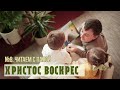 №8. Читаем с папой - Христос Воскрес (Пасха 2021)