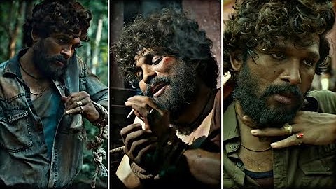 #Pushpa - The Rise (Hindi) Full Screen Status |  Allu Arjun New Status | Pushpa The Rise