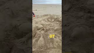 Dolphins Rescue Diver