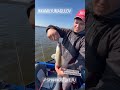 @SPINNINGISTLIFE  #spinning #fishing #kazan #рыбалка #fish #tatarstan #судак