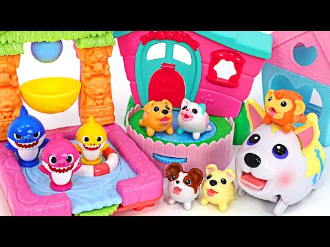 Let&amp;#39;s go swimming in a camping <strong>car</strong> with <strong>cute</strong> Chubby Puppies&amp;amp;Friends! | PinkyPopTOY