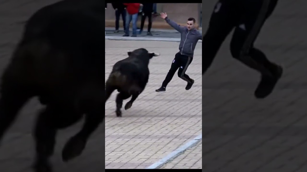 Can This Guy Outrun a Charging Bull? 