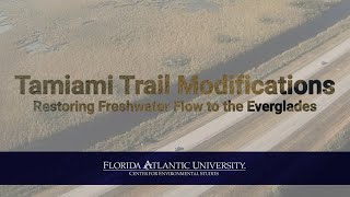 Tamiami Trail Modifications: Restoring Freshwater Flow to the Everglades
