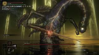 BEST WEAPON IN ELDEN RING Radagon/Elden Beast NO HIT