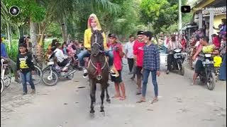 Atraksi Kuda Joged Super Keren! Lagu Naik Delman Goyang Ceria 🥳🎠