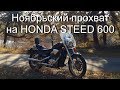 Honda Steed VLX 600 Ноябрьские покатушки