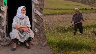 Life in village - Country life in North of Iran زندگی روستایی ییلاقات تالش