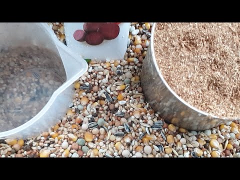Super Drożdże + enzymy (100% NATURA)