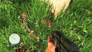 Far Cry 3 Gameplay - GTX770 2Go (Leopard Hunting)