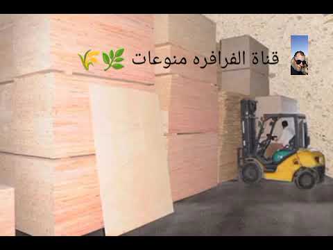 معلومات مهمه عن محافظة كفرالشيخ