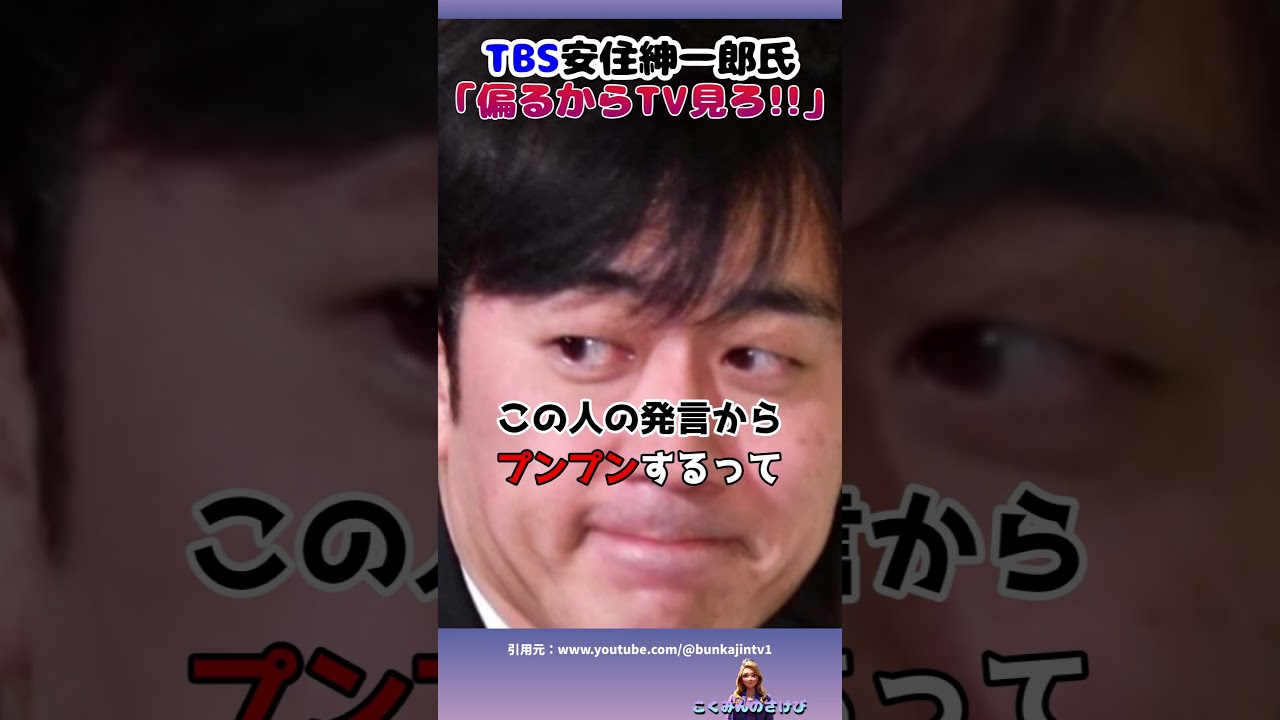 安住紳一郎氏【偏るからTV見ろ発言…】 #山上信吾氏 #安住紳一郎 #政治