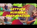 How to grow Lettuce? 7 Easy steps to Raise Lettuce Nursery. Part 1.