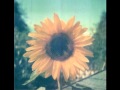 Flower Girl - Mat Mchugh