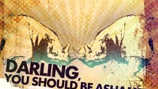 Darling, You Should Be Ashamed - The Weight of Days (2008)