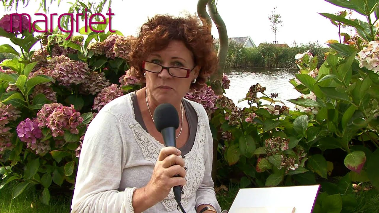 Marjan van den Berg gedichtenserie: "Oude Mensen" - YouTube