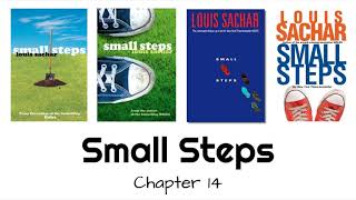 Small Steps Chapter 14 Profile