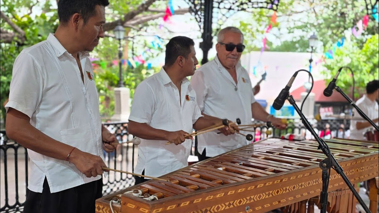 MARIMBA AL PIE DEL CAÑON CANCIONES PARQUE DE LA MARIMBA 🇲🇽TUXTLA GUTIÉRREZ CHIAPAS MEXICO MUSICA
