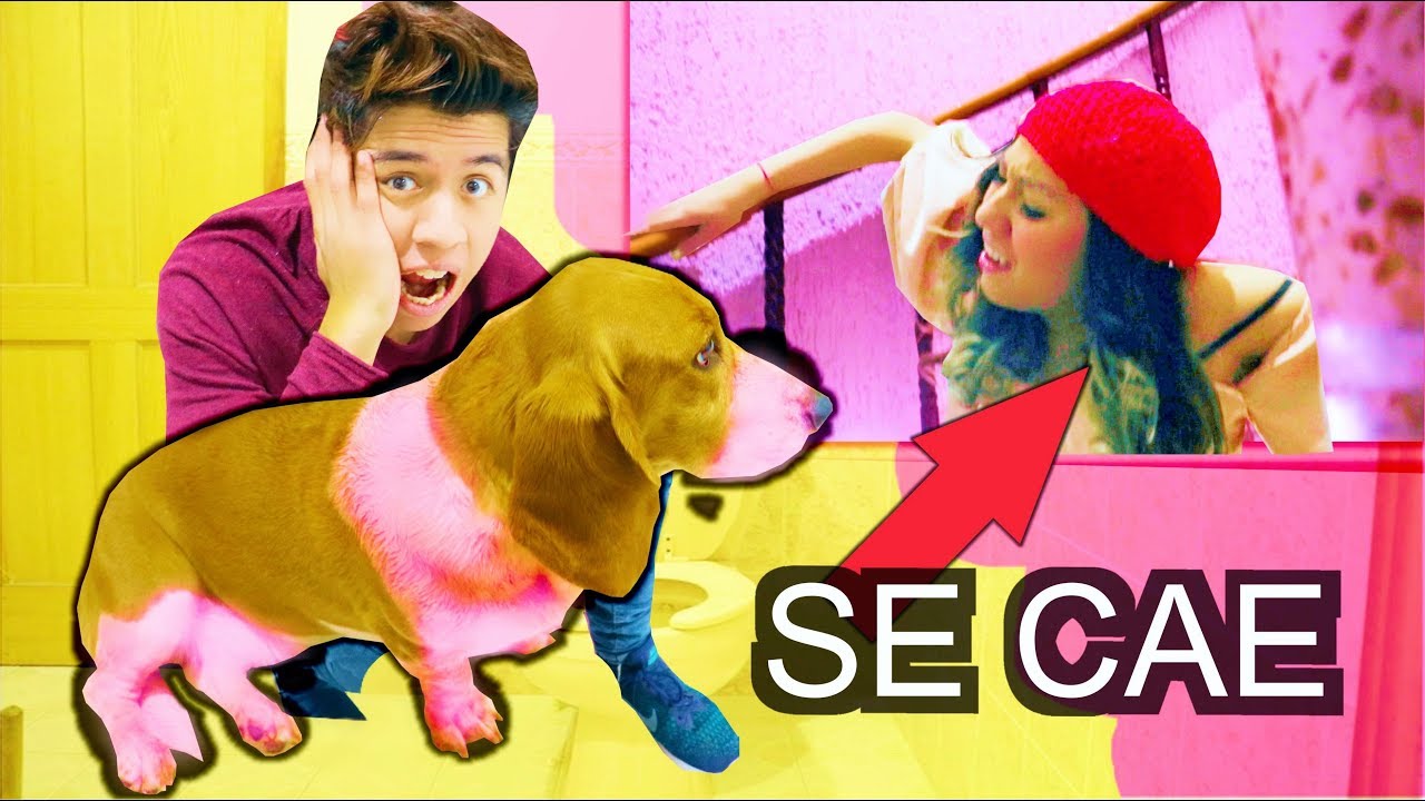 BROMA le PINTO el PELO a su PERRO *ella cae por las escaleras* - YouTube