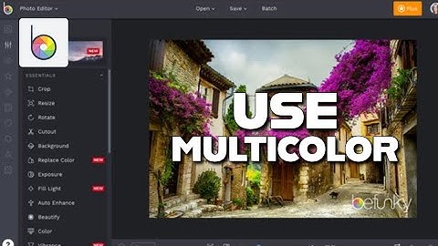 How to Use Multi Color in Befunky 2025?