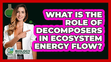 What Is The Role Of Decomposers In Ecosystem Energy Flow? - Biology For Everyone