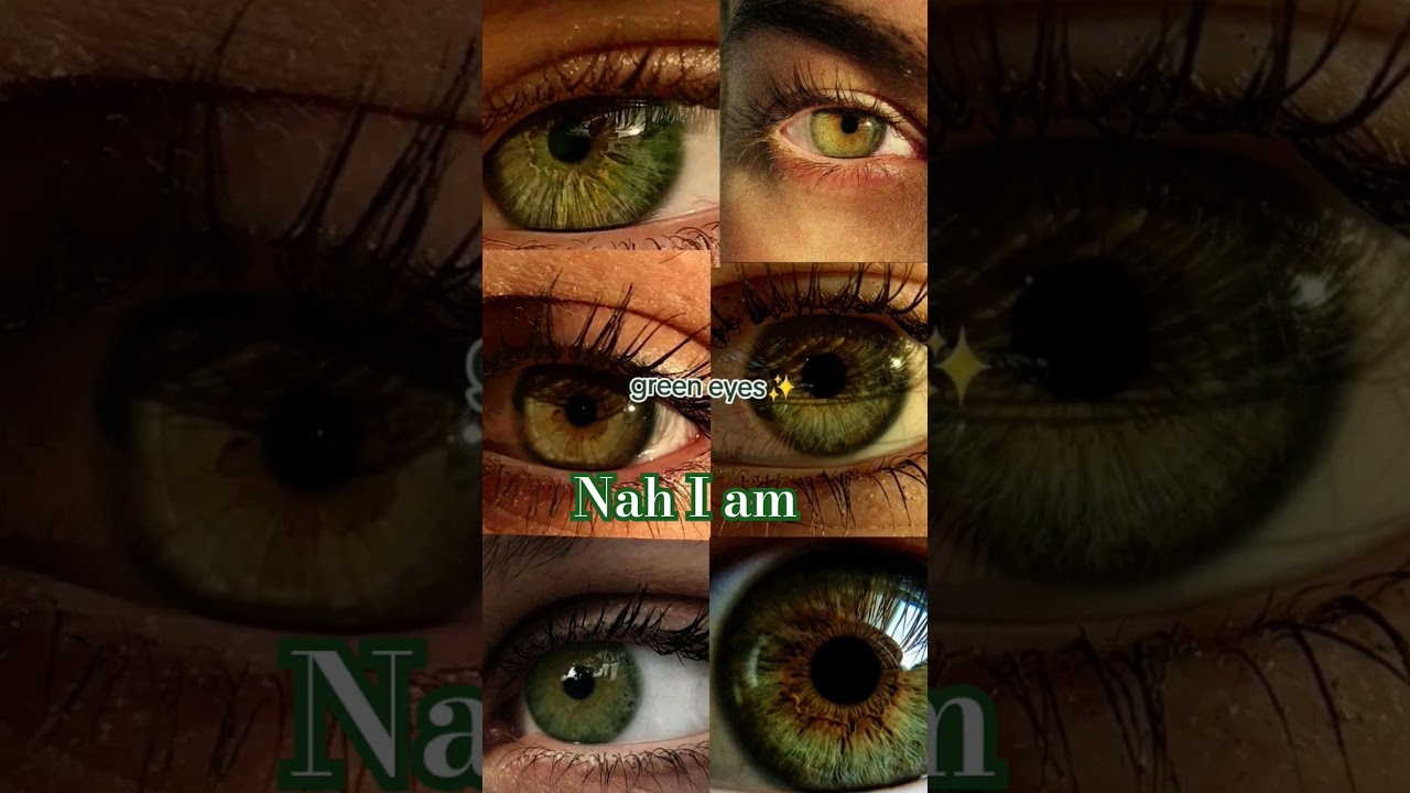 ✨ Hazel eyes✨👁️🤎🟤 